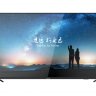 HIKVISION DS-D5055UC-C Монитор с диагональю 55''